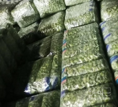 فروش باقلاتازه بدون قلاف