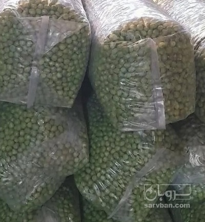 فروش نخود فرنگی منجمد