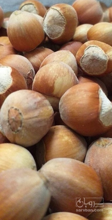 فروش فندق افتاب خشک