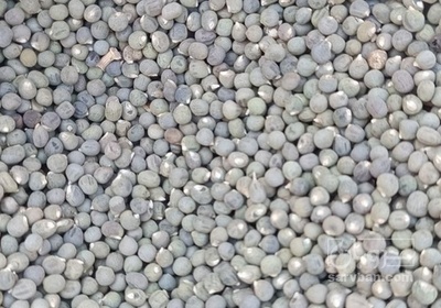 فروش  بذربامیه