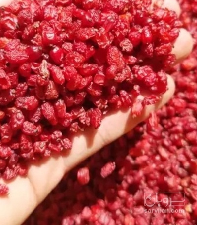 فروش زرشک پفکی