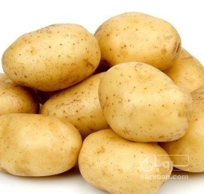 فروش سیب زمینی