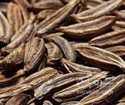 فروش زیره (گیاه‌ دارویی)