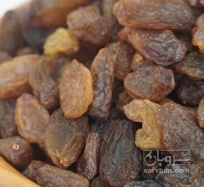 فروش کشمش ملکان