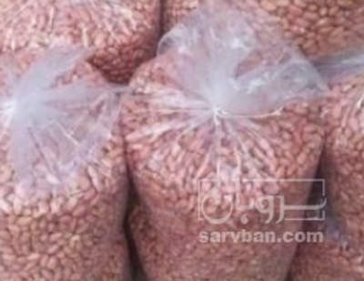 فروش بادام زمینی بدون قلاف