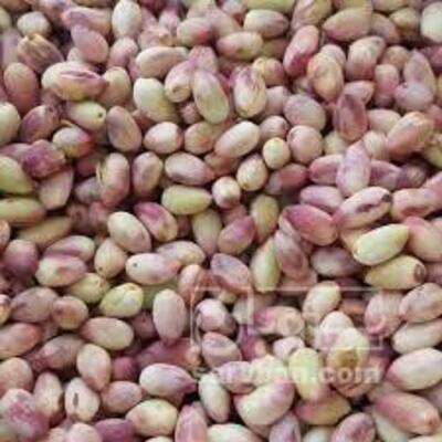 فروش پسته
