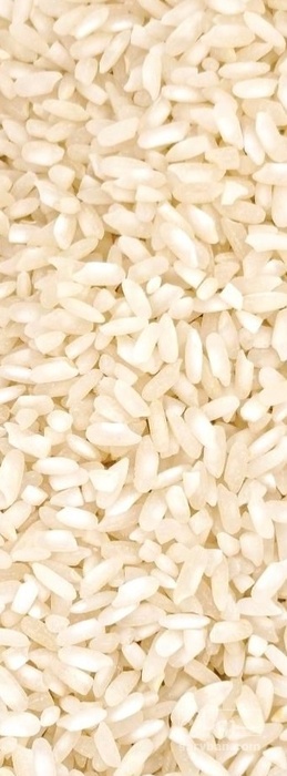 فروش برنج چمپا