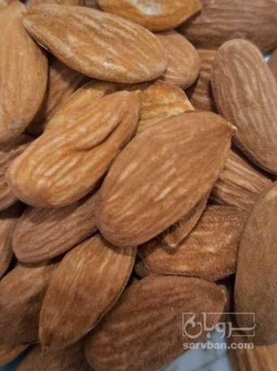 فروش  مغز بادام سنگی