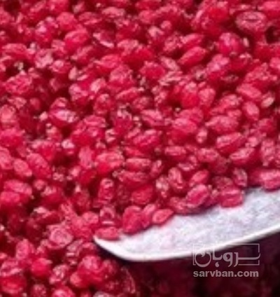 فروش زرشک تالاری