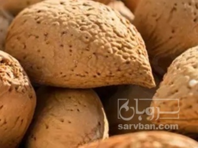 فروش بادام سنگی
