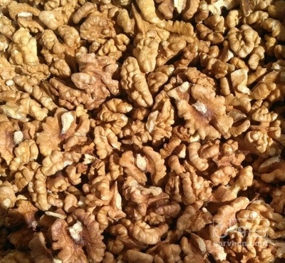 فروش  مغزگردو