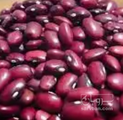 فروش لوبیا قرمز