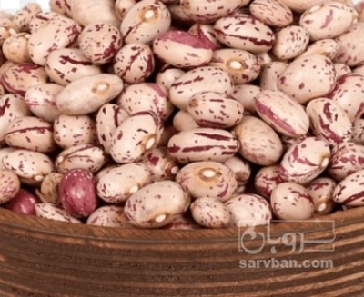 فروش لوبیا چیتی