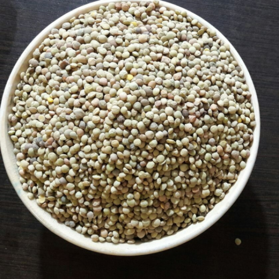 فروش عدس