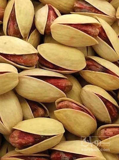 فروش پسته