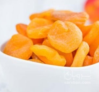 فروش آلوقیسی بلگه ایی