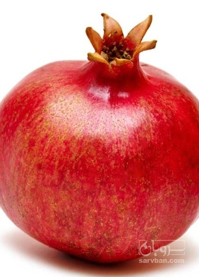 فروش انار