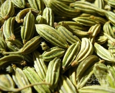 فروش زیره (گیاه‌ دارویی)