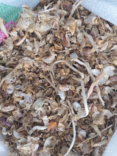 فروش  پوست سیر