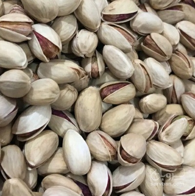 فروش پسته اکبری