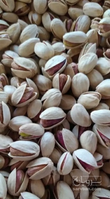 فروش پسته احمد اقایی