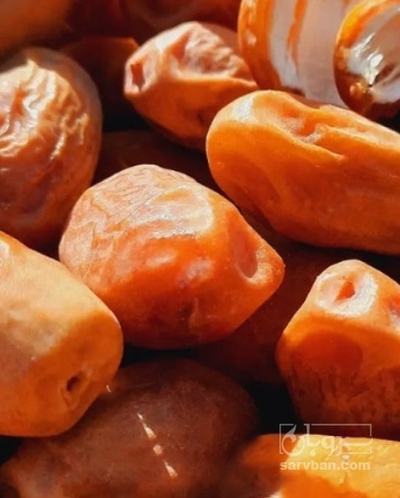 فروش خرما زاهدی