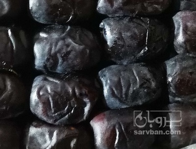 فروش خرما مضافتی