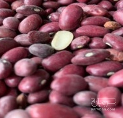 فروش لوبیا قرمز