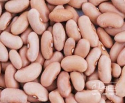 فروش لوبیا کشاورزی