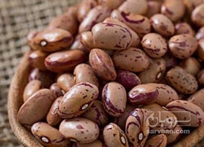 فروش لوبیا چیتی