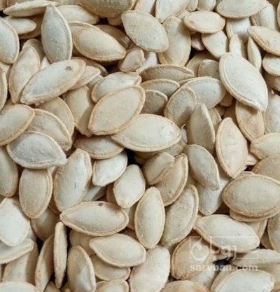 فروش تخمه  کدو