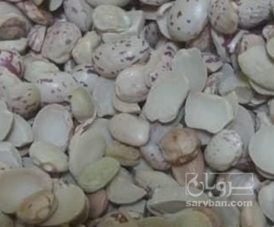 فروش لوبیا چیتی