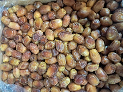 فروش خرما زاهدی