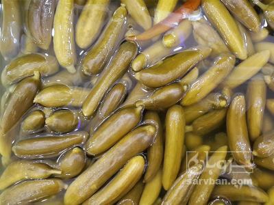 فروش خیار شور