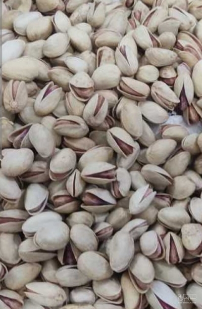 فروش پسته