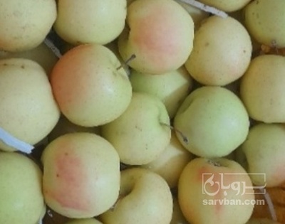 فروش سیب زرد