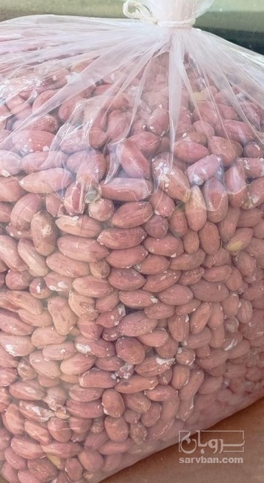 فروش بادام زمینی بدون قلاف برشته