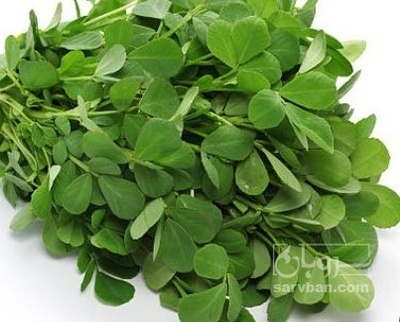 فروش شنبلیله