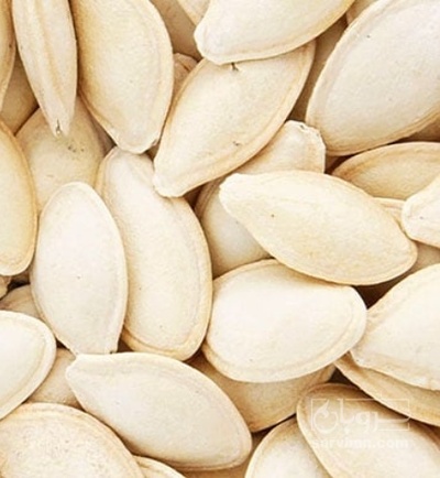 فروش تخمه  کدو