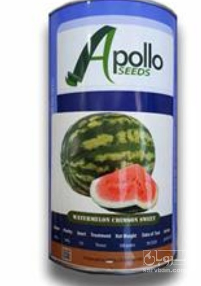 فروش بذر هندوانه گرد اپولو