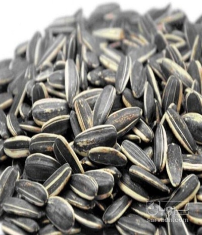 فروش تخمه آفتابگردان