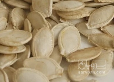 فروش تخمه  کدو