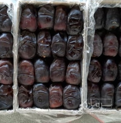 فروش خرما مضافتی