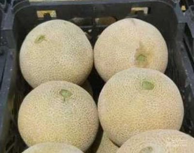 فروش ملون