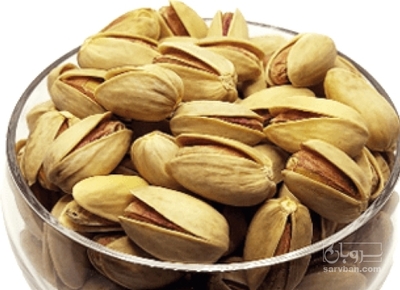 فروش پسته کله قوچی