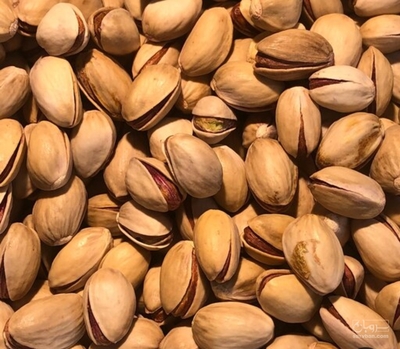 فروش پسته فندقی