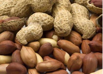فروش بادام زمینی