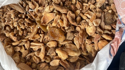 فروش ثعلب (گیاه‌ دارویی) | سروبان