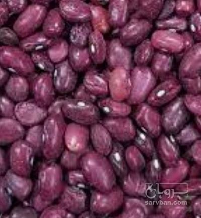 فروش لوبیا قرمز