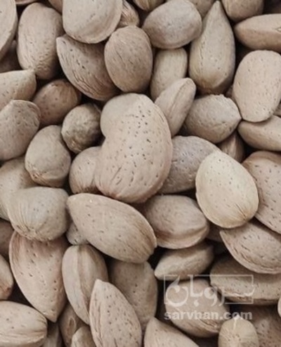 فروش بادام شاهرودی